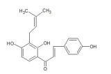 宝鸡辰光生物销售部 专业提供中药标准品、对照品与植物提取物一站式服务